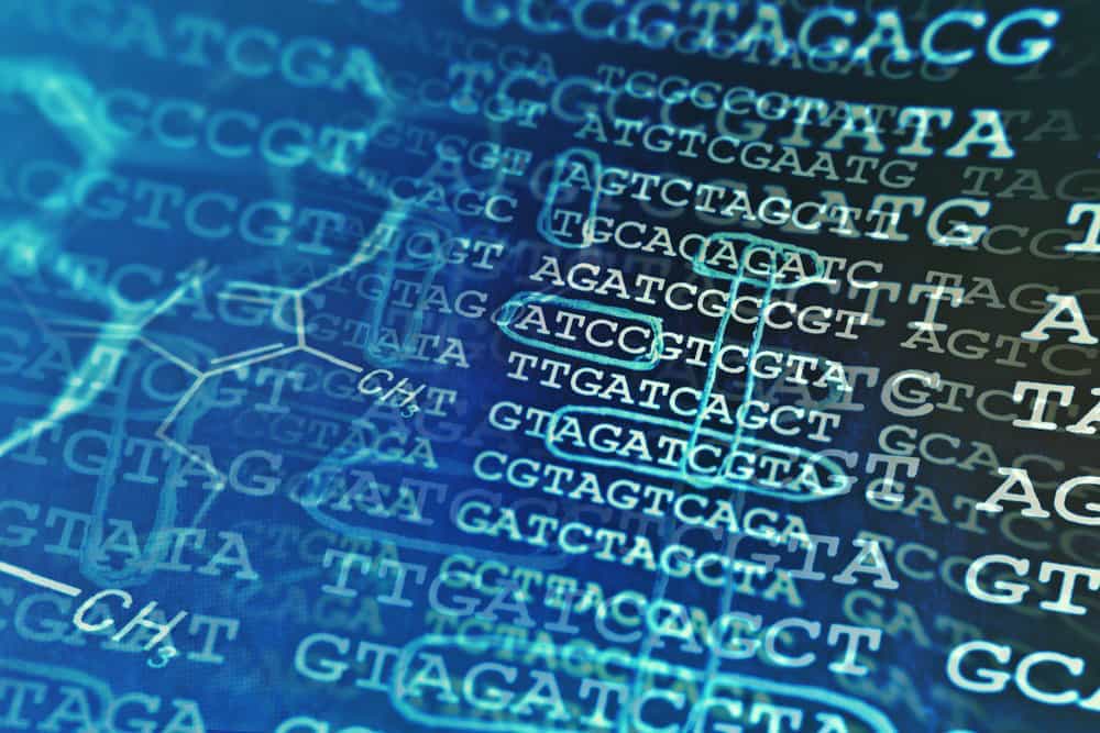 Database for Polyphenol Utilized Proteins from gut microbiota